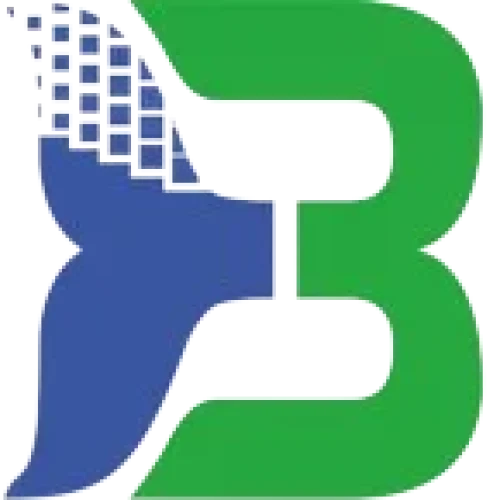 bigwal_logo-removebg-preview